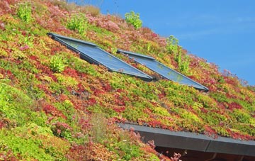 Worcester Park living roof systems